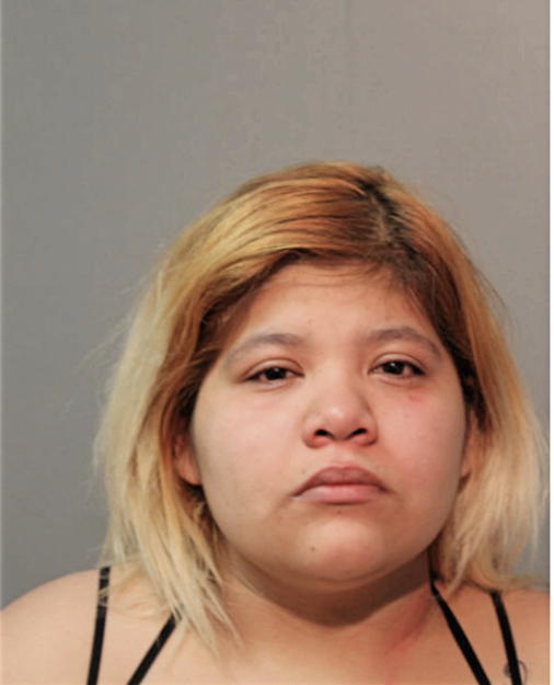 JULIE ALVAREZ, Cook County, Illinois