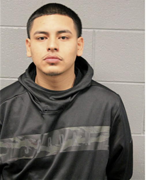 ANTHONY E AYALA, Cook County, Illinois