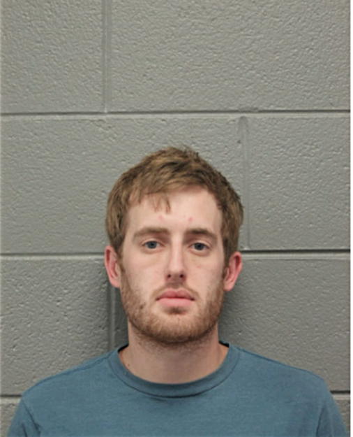 NATHAN W BEEBE, Cook County, Illinois
