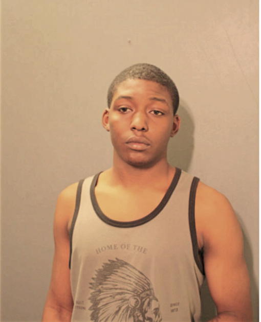 DAVID J CROSS, Cook County, Illinois