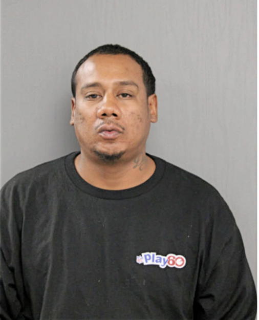 MICHAEL J DAWSON, Cook County, Illinois