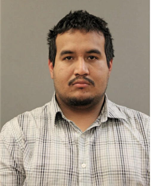 ALBERTO DELGADO, Cook County, Illinois