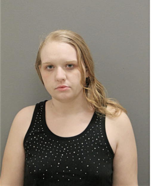 MELISSA R DOBKINS, Cook County, Illinois