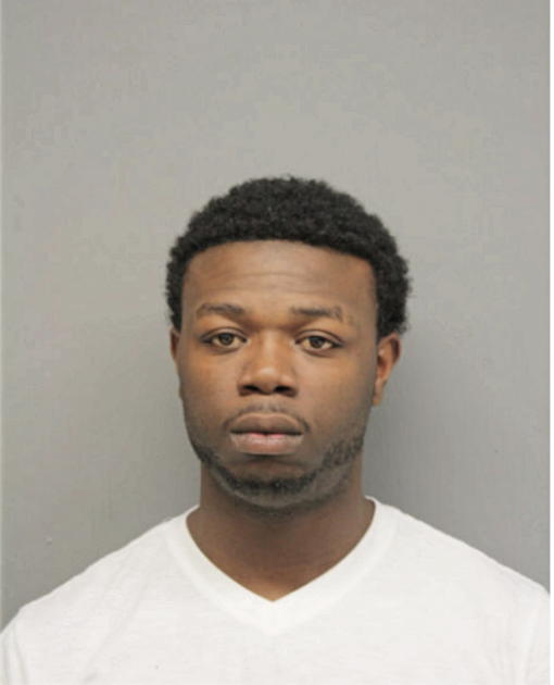 STONIE L EVANS, Cook County, Illinois
