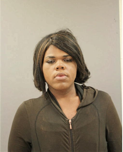 TERRELL A EVANS, Cook County, Illinois