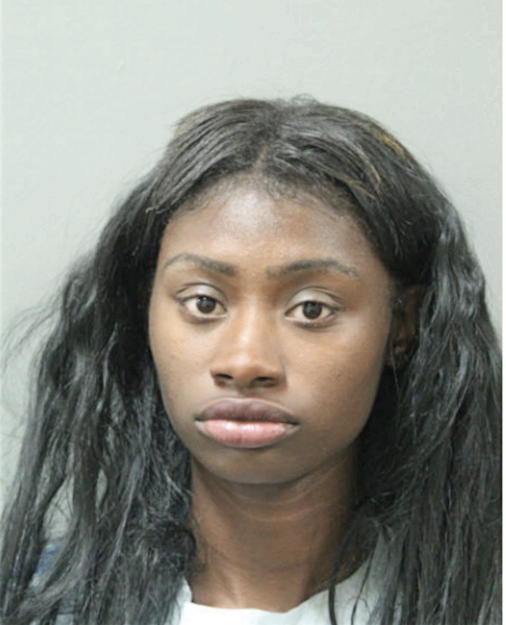 DAKOTA L HUFF, Cook County, Illinois