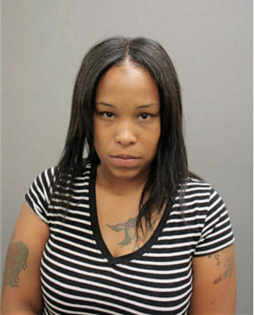 MICHELLE J HUTCHISON, Cook County, Illinois