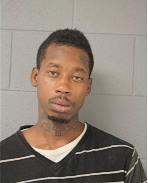 ANTHONY J JOHNSON, Cook County, Illinois