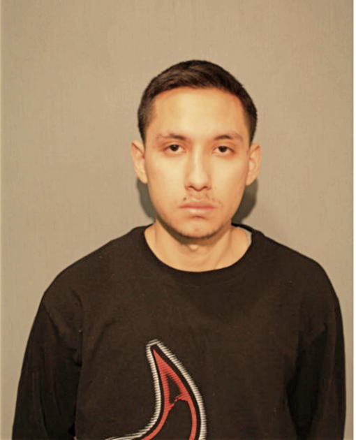 MOISES LAGUNAS, Cook County, Illinois