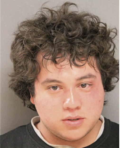 ALEJANDRO S LUNA, Cook County, Illinois