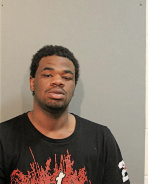 IVAN I NASH, Cook County, Illinois