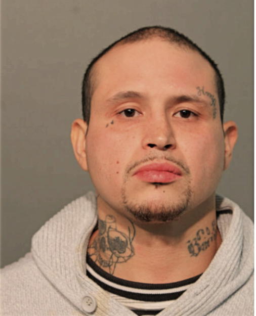 ISMAEL CARNITAS REAL, Cook County, Illinois