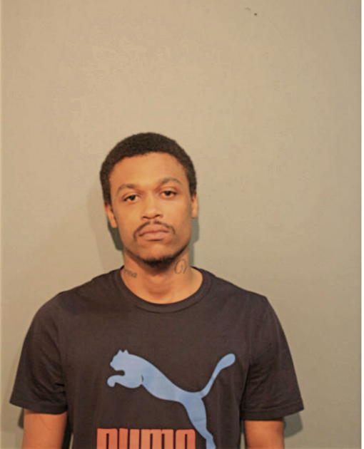 NICOLA S SAMPSON, Cook County, Illinois