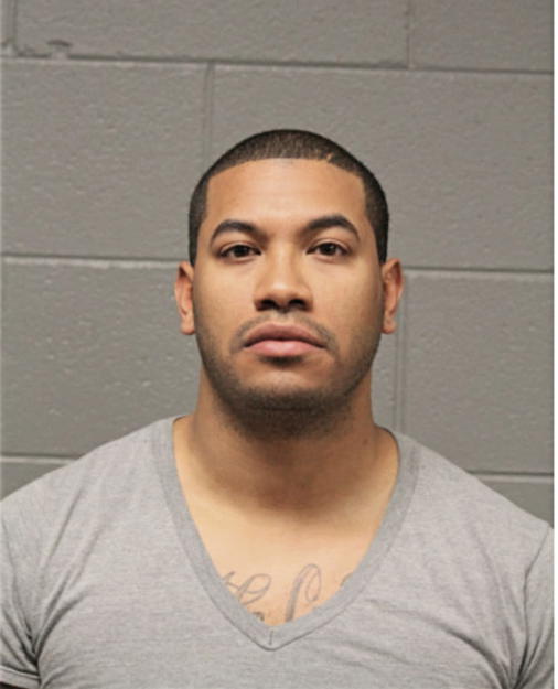 RYAN C SANGS, Cook County, Illinois