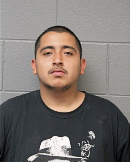 RAMON TELLEZ, Cook County, Illinois