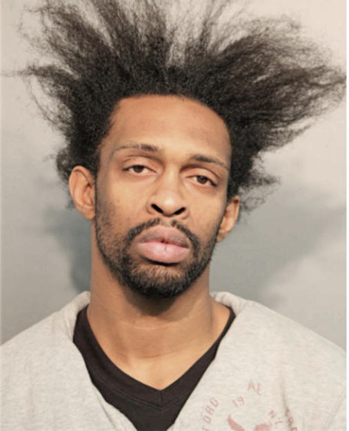 BRIAN A THOMAS, Cook County, Illinois