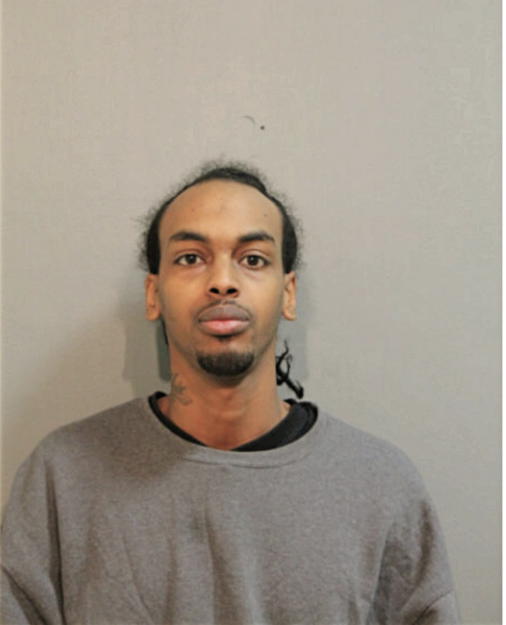 ARRIEL G TURNER, Cook County, Illinois