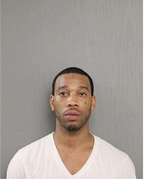 BRIAN D VINSON, Cook County, Illinois