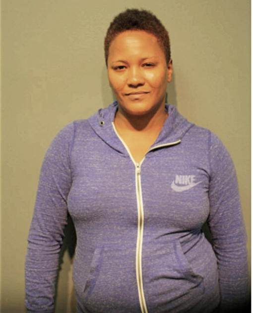 LISA N WILSON, Cook County, Illinois