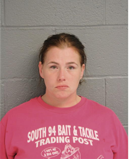 ASHLEY N ARNOLD, Cook County, Illinois