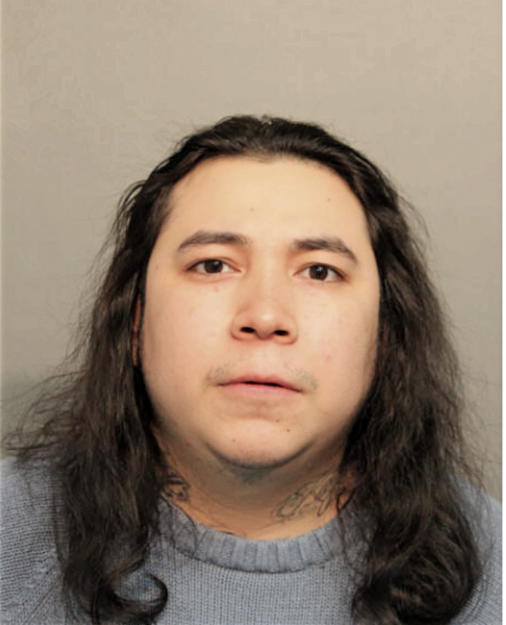 LUIS C CARDENAS, Cook County, Illinois