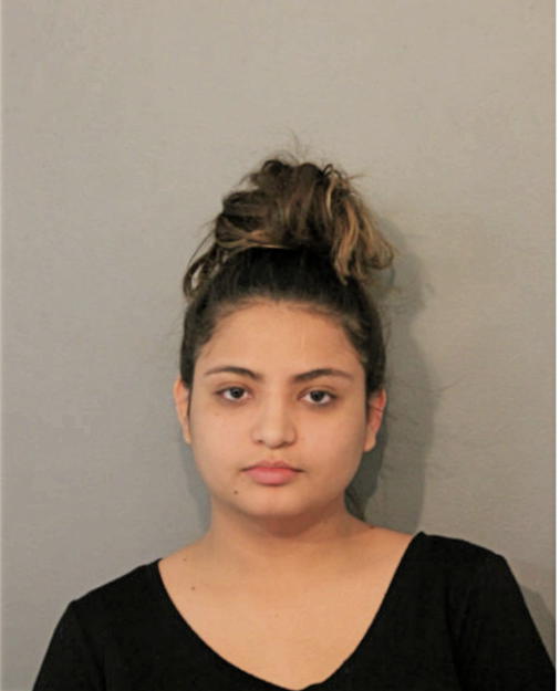 DANA S CASTELLANOS, Cook County, Illinois