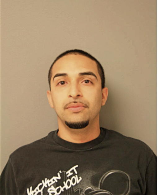 RENE LARA, Cook County, Illinois