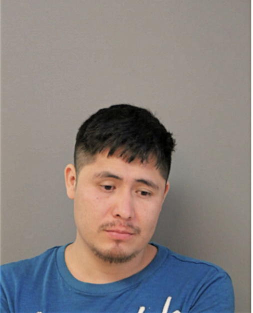 JUAN L LEON, Cook County, Illinois