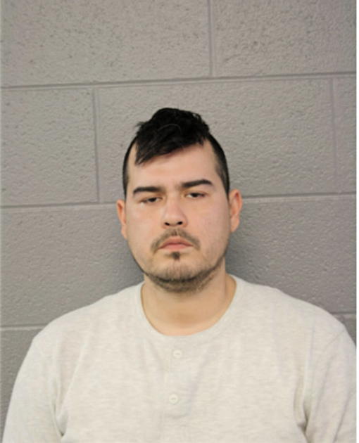 ANTHONY J MENDEZ, Cook County, Illinois
