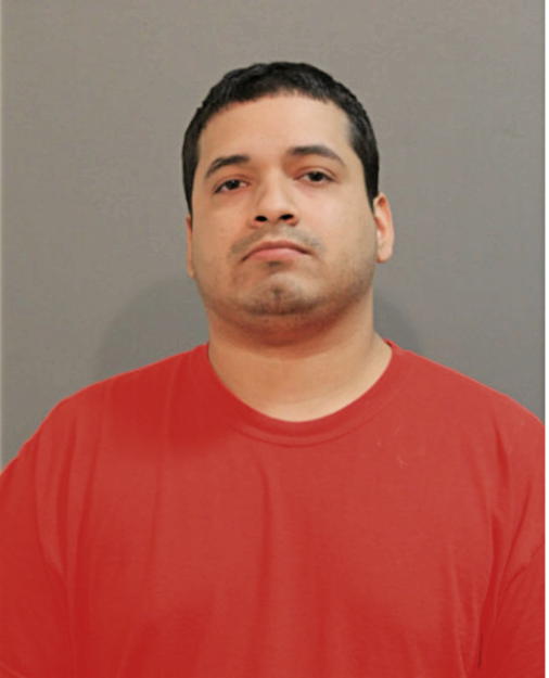 DENNIS J ORTEGA, Cook County, Illinois