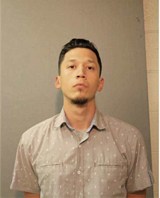 PAUL E PEREZ, Cook County, Illinois