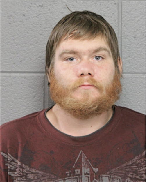 ANTHONY R PRINCE, Cook County, Illinois