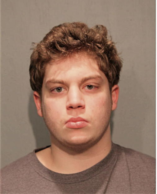 DANIEL J RICHARDSON, Cook County, Illinois