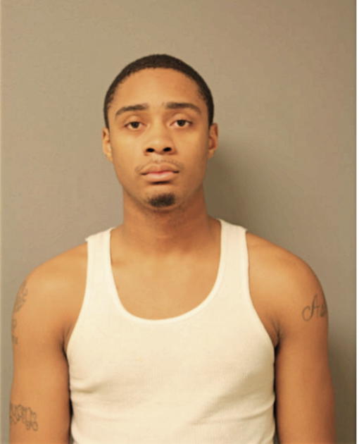 BRYAN A ROBINSON, Cook County, Illinois