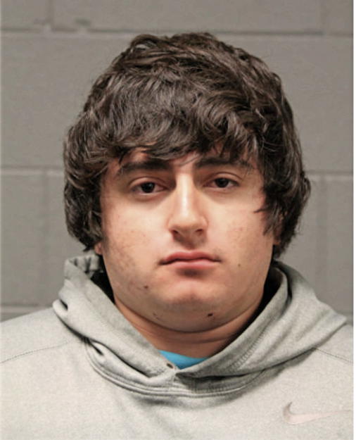 GUILLERMO J SANCHEZ, Cook County, Illinois