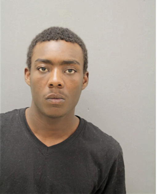 DAVID A SANDERS, Cook County, Illinois