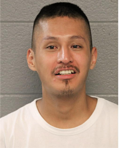 ALDO C SILVESTRE, Cook County, Illinois
