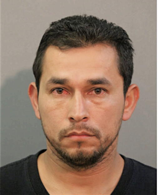 JESUS B VIDRIO-GARCIA, Cook County, Illinois