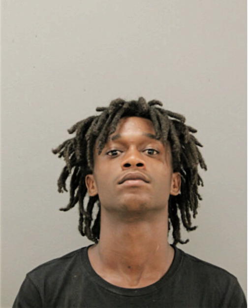 NATHANIEL K WALLACE, Cook County, Illinois