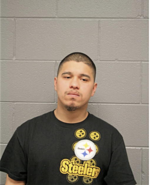 ALFONSO BAHENA, Cook County, Illinois