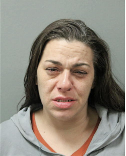 PRISCILLA P BAKOS, Cook County, Illinois