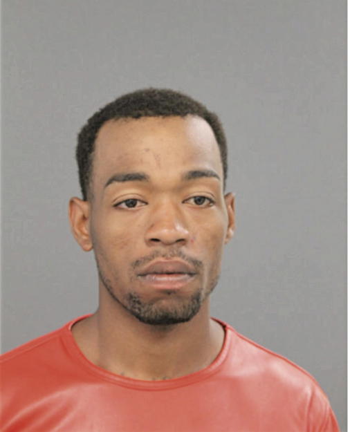TYVON L BIRTH, Cook County, Illinois