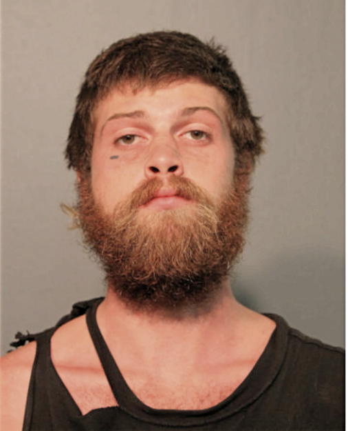 IAN DAVID BOWERS, Cook County, Illinois