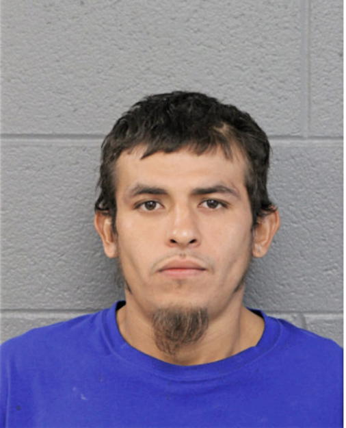 GILBERTO T CALDERON, Cook County, Illinois