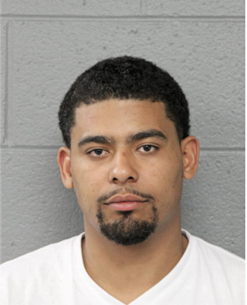 TIMOTHY L COLLINS, Cook County, Illinois