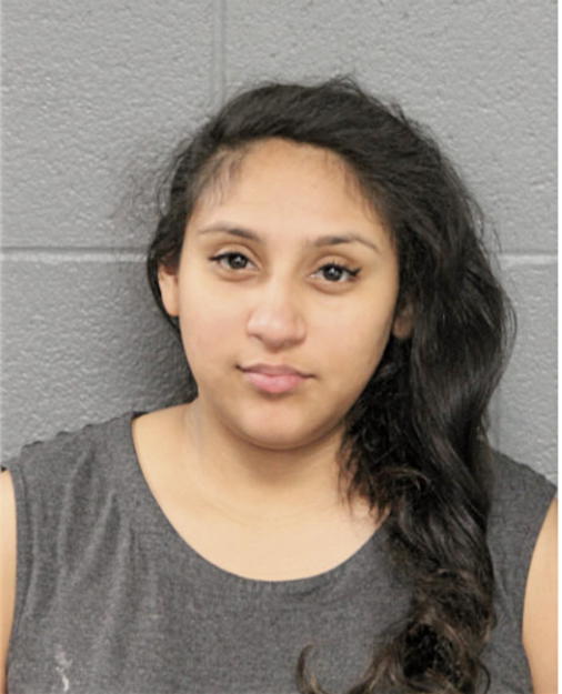 CHRISTINA K FERNANDEZ, Cook County, Illinois