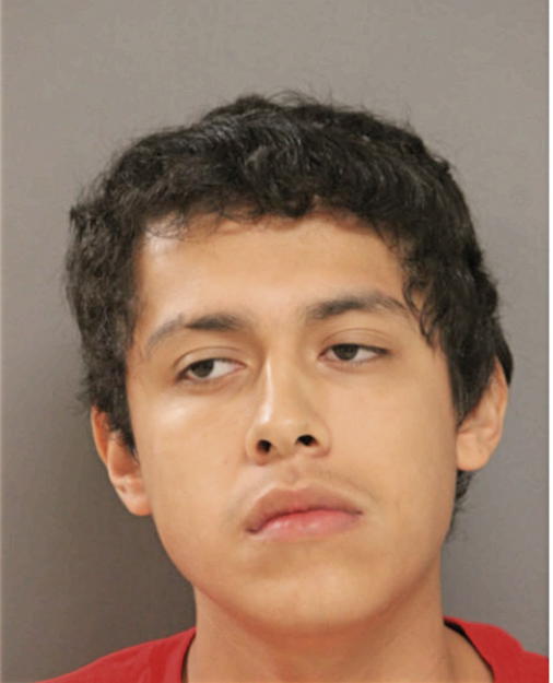 LEONARDO HERRERA, Cook County, Illinois