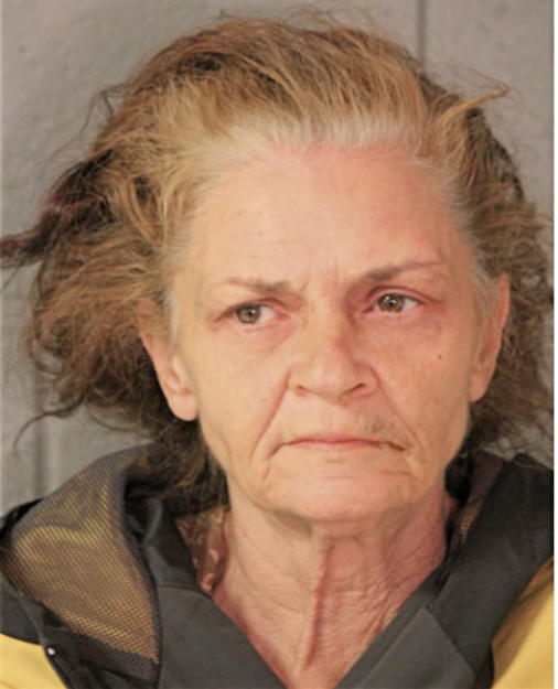 ROXANNE F HITCHELL, Cook County, Illinois