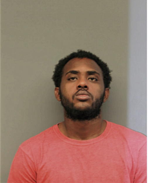 DENZEL L JOHNSON, Cook County, Illinois