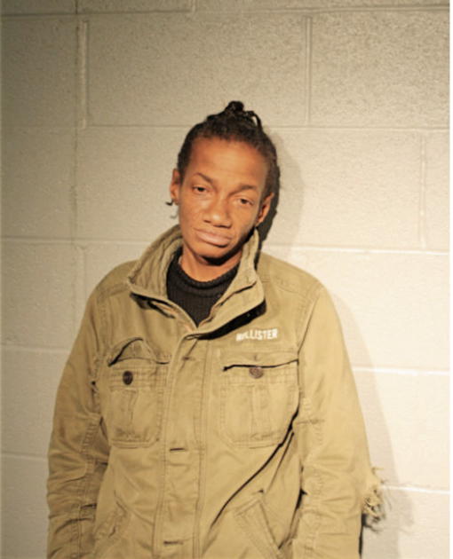 LORRI A KANE, Cook County, Illinois
